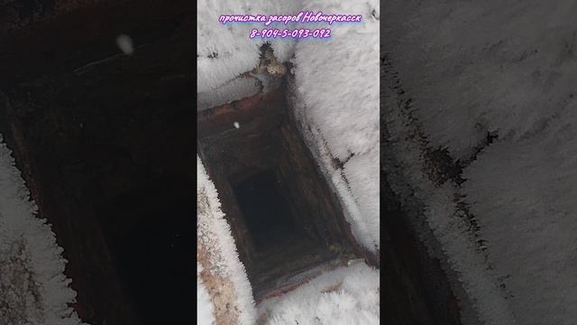 Трапик старше меня.