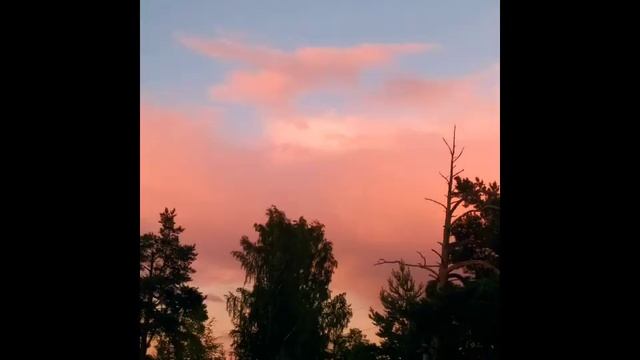 Ты все можешь смотреть онлайн