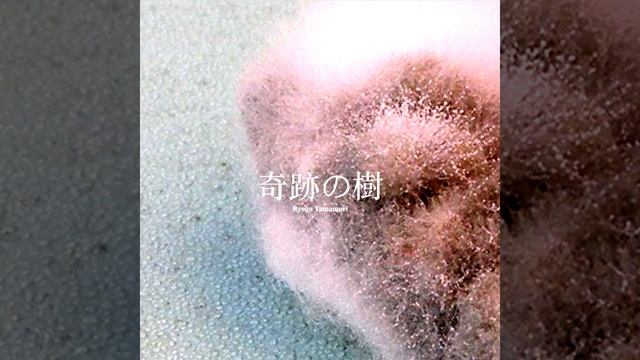 Sansevieria (Emika Elena Remix) смотреть онлайн