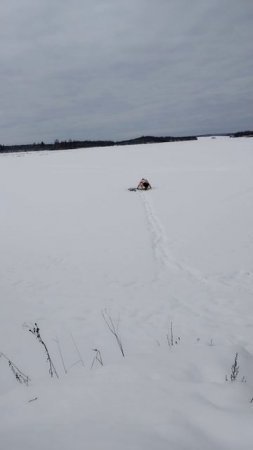 Утро начинаем с моржевания, более подробно в длином видео 22.02.25