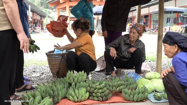 Harvest 3 bunches of bananas to sell, Cover the house's veins - Luu Linh Family