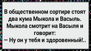 Как Мыкола и Васыль в Сортире Стояли! Большой Сборник Свежих Смешных Анекдотов!