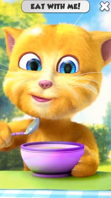 MytalkingGinger#shortfeef#Shortviral#shortvideo#youtubeshort#ytstudy#khanintertainment#kidsfunny# смотреть онлайн