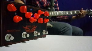 Mosky Red Fox (Rhinoceros: Smashing Pumpkins)