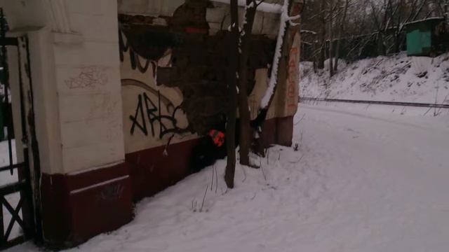 Леон,обыск местности ВВ-ИМИТАТОР. смотреть онлайн