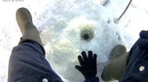 Зимняя рыбалка на реке Ока. Ловля густеры