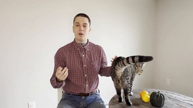 My First Udemy Course on Linux!