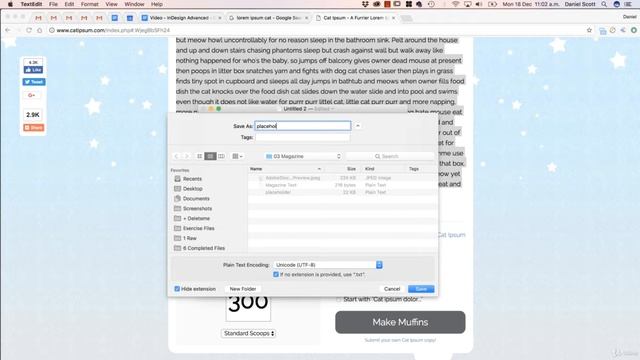 Placeholder Text Alternatives In Adobe InDesign CC