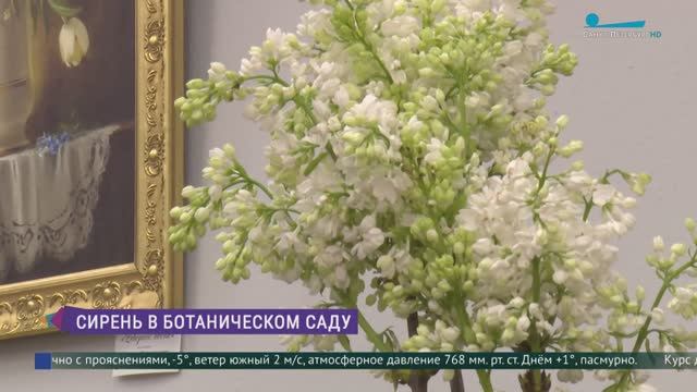 Цветочная терапия в Ботаническом саду БИН РАН
