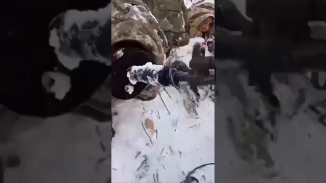 Закономерный итог двух боевиков ВСУ, причастных к убийству мирных жителей Курской области
