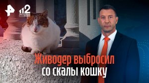 Живодер выбросил со скалы кошку