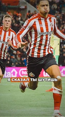Братья Беленгем