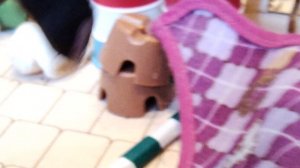 День глазами лошади, день глазами Фризы🐎🩷