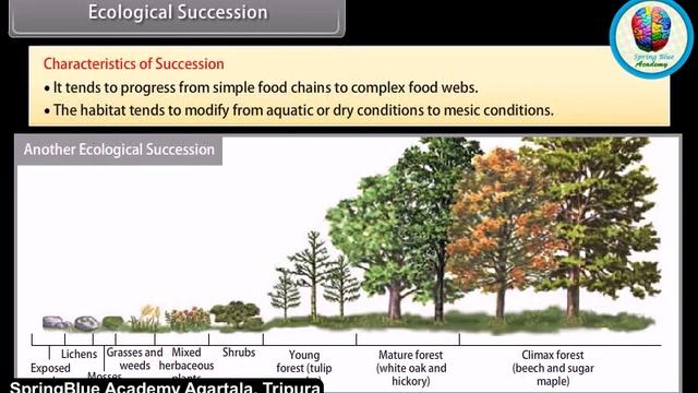 CBSE: Class- 12 BIOLOGY (Ecosystem)