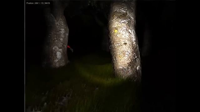 Survivers и команда 4Game-Free потерялась в лесу :) смотреть онлайн