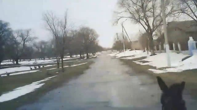 ПОКАТУШКИ НА ОСЛИКАХ ИШАКАХ смотреть онлайн