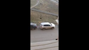 жуткий скрежет после старта Toyota rav4 5 поколения