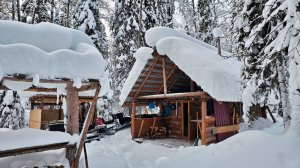 ДОБРАЛСЯ ДО ИЗБЫ ГЛУХАРИНАЯ / СУП ИЗ РЯБЧИКА / ПРИВЕЗ ПИЛОРАМУ