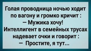 Как Проводница По Ночам в Вагоне Мужика Ищет! Сборник Свежих Анекдотов! Юмор!