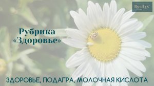 Здоровье | Подагра | Молочная кислота | Здоровье | Татьяна Бекаревич