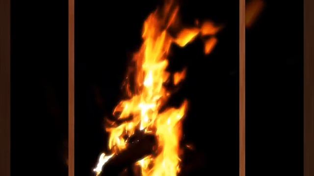 Wild River exploration camp, Shivpuri, Rishikesh смотреть онлайн