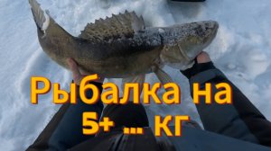 Рыбалка на 5+ ... кг.