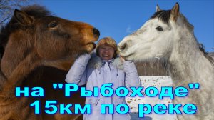 #Алексеевка_Датта_на_мотособаке_Рыбоход