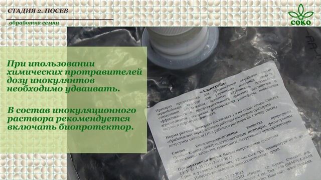 Особенности возделывания сои на зерно в неорошаемых условиях. Фильм Компании Соевый Комплекс.