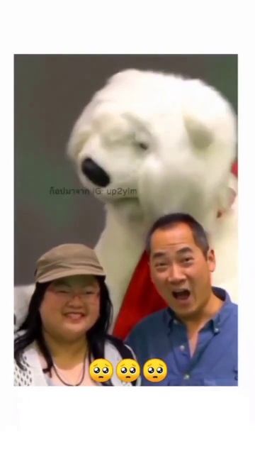 Trust me this will make ur day 🥹 #shorts #shortsvideo #youtubeshorts смотреть онлайн