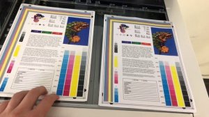 Konica Minolta Bizhub c224e