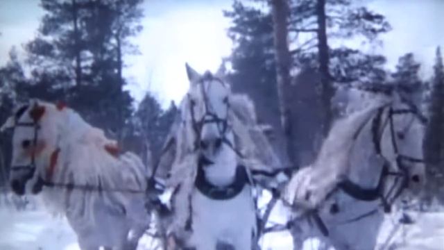 Александр Бражник автор НОВОГОДНЯЯ ПЕСЕНКА смотреть онлайн