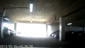 Прикольные животные 2015 9