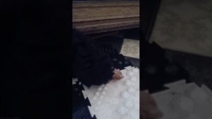 Мальтипу-ши, на завтрак индейка