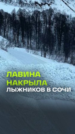 Кадры природной катастрофы в Сочи: лыжников накрыла снежная лавина