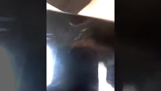 Как доломать экран у Fly fs452 смотреть онлайн