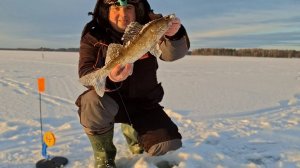 Судак На Жерлицы В Конце Февраля 2025