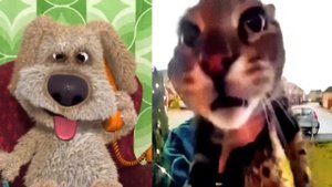 Бен оценивает новые мемы: