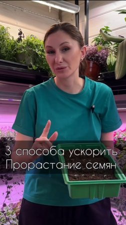 Как ускорить прорастание туговсхожих семян