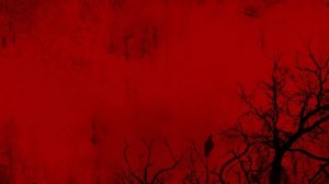 Даша Рокс ✨|Интересная невеста|