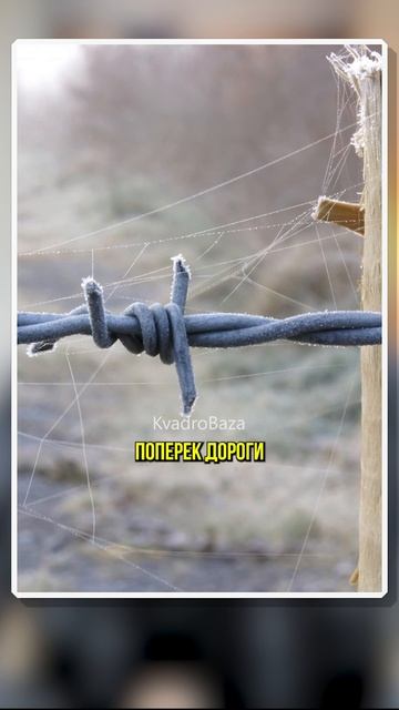 Зачем делали высокий руль на мотоциклах?