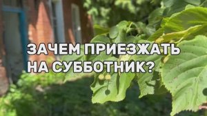 Для активного отдыха. Экологический туризм в Усадьбе. Лагерь осознанного отдыха.