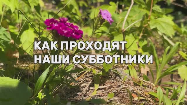 Летний фитнес в Усадьбе. Лагерь осознанного отдыха.