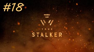 [PC] True Stalker | Прохождение | #18