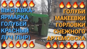 🔥🕊🔥 Выставка-ярмарка голубей г.Красный Луч. Голуби Горловки, Снежного, Макеевки, Артемовска.