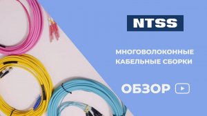 Многоволоконные кабельные сборки NTSS