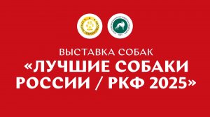 Атмосфера выставки «Лучшие собаки России / РКФ 2025»