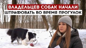 Владельцев собак начали штрафовать во время прогулок