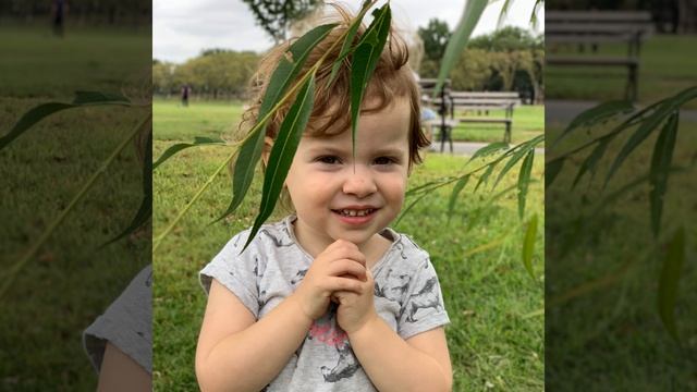 Opossum Scream (At Own Ass) смотреть онлайн