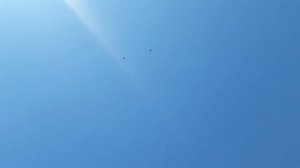 КИРОВОГРАДСКИЕ ГОЛУБИ