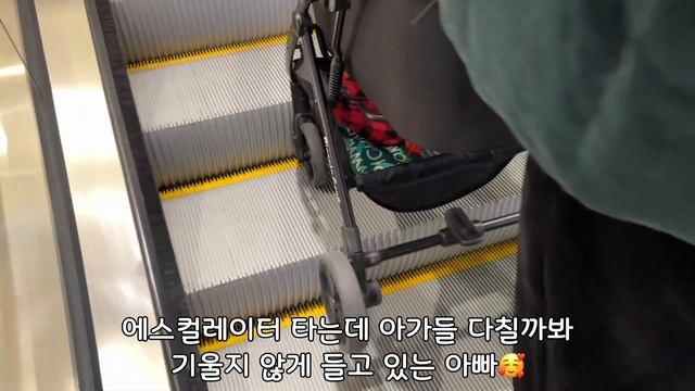강아지와 함께 크리스마스를 보내는 방법🎄